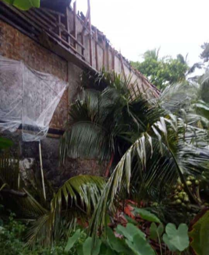 Hujan Deras Disertai Angin Kencang,  Pohon Tumbang Menimpa Satu Rumah Warga