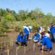 Penanaman Pohon Mangrove Dalam Rangka Kegiatan JUNA (Jum'at Menanam)